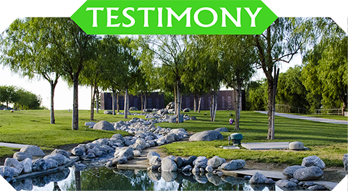 TESTIMONY